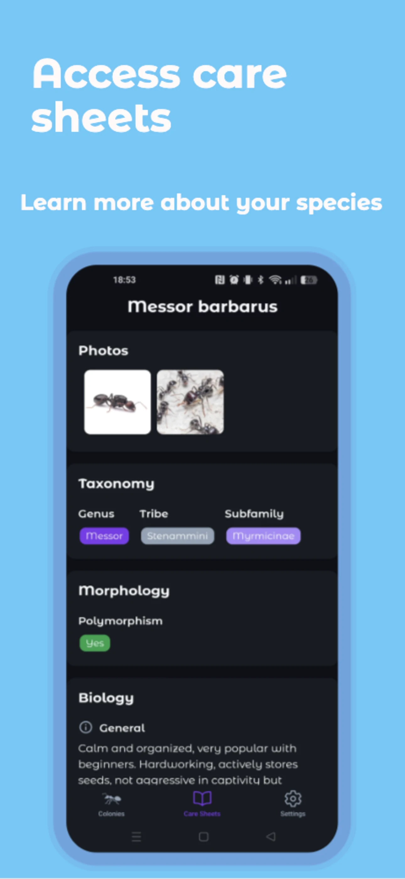 AntKeeper screenshot